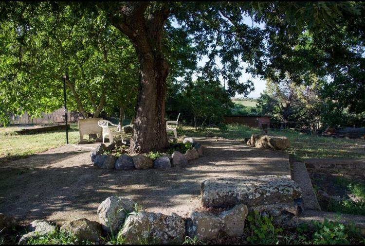 Favoloso Appartamento In Villa Monterosi Eksteriør billede