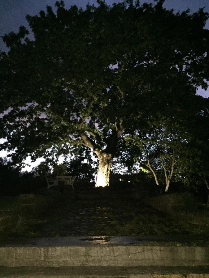 Favoloso Appartamento In Villa Monterosi Eksteriør billede