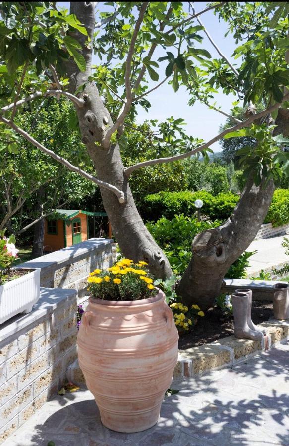 Favoloso Appartamento In Villa Monterosi Eksteriør billede