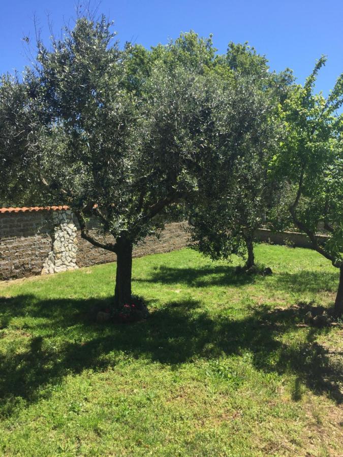 Favoloso Appartamento In Villa Monterosi Eksteriør billede